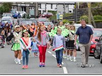14-06-2015 D47I5841 : carnival, tanygrisiau