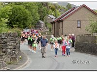 14-06-2015  E2A5664 : carnival, tanygrisiau