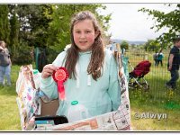 14-06-2015  E2A5732 : carnival, tanygrisiau