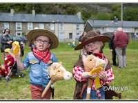 14-06-2015  E2A5740 : carnival, tanygrisiau