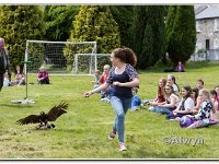 14-06-2015  E2A5760 : carnival, tanygrisiau