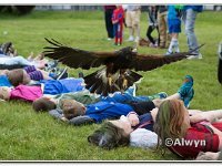 14-06-2015  E2A5767 : carnival, tanygrisiau