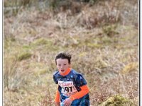 16-04-2016 D47I5060 : ras y moelwyn