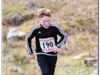 16-04-2016 D47I5165 : ras y moelwyn