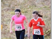 16-04-2016 D47I5184 : ras y moelwyn