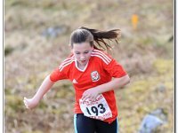16-04-2016 D47I5192 : ras y moelwyn