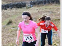16-04-2016 D47I5197 : ras y moelwyn