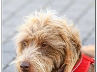 23-09-2017 D47I7711 : trailffest 2017