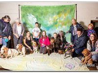 02-09-2018  E2A4030 : dog show