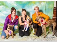 02-09-2018  E2A4039 : dog show
