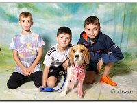 02-09-2018  E2A4046 : dog show