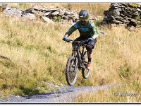 14-09-2019 D47I2418 : antur