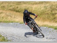 14-09-2019 D47I2507 : antur