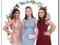 11-04-2019 IMG 8568 : prom moelwyn