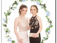 11-04-2019 IMG 8653 : prom moelwyn
