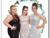 11-04-2019 IMG 8881 : prom moelwyn
