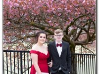11-04-2019  E2A6015 : prom moelwyn