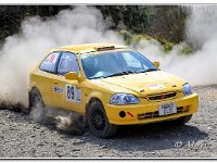 30-03-2019 D47I9099 : rally north wales 2019