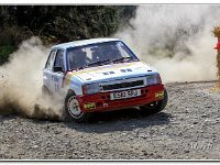 30-03-2019 D47I9155 : rally north wales 2019