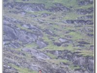 25-05-2019 D47I0360 : ras y moelwyn