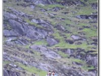 25-05-2019 D47I1090 : ras y moelwyn