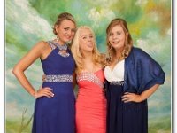 18-06-2015 IMG 9346 : dyffryn conwy, prom