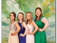 18-06-2015 IMG 9449 : dyffryn conwy, prom