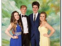 18-06-2015 IMG 9525 : dyffryn conwy, prom