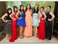 18-06-2015 IMG 9601 : dyffryn conwy, prom