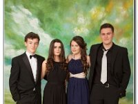 18-06-2015 IMG 9682 : dyffryn conwy, prom
