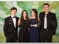 18-06-2015 IMG 9683 : dyffryn conwy, prom