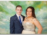 18-06-2015 IMG 9693 : dyffryn conwy, prom