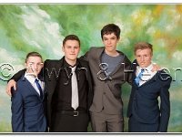18-06-2015 IMG 9698 : dyffryn conwy, prom