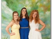 18-06-2015 IMG 9710 : dyffryn conwy, prom