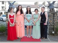 18-06-2015  E2A6122 : dyffryn conwy, prom