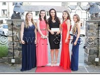 18-06-2015  E2A6127 : dyffryn conwy, prom