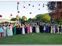 18-06-2015  E2A6176 : dyffryn conwy, prom