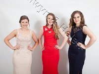 24-06-2016 IMG 8896 : dyffryn conwy prom 2016
