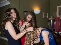 24-06-2016  E2A7860 : dyffryn conwy prom 2016