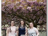 27-04-2017  E2A5773 : proms moelwyn 2017