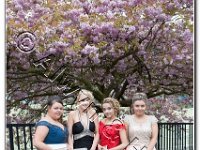 27-04-2017  E2A5777 : proms moelwyn 2017
