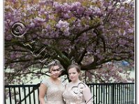 27-04-2017  E2A5779 : proms moelwyn 2017