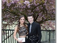27-04-2017  E2A5781 : proms moelwyn 2017
