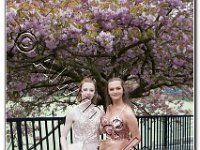 27-04-2017  E2A5785 : proms moelwyn 2017