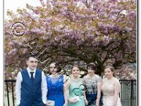 27-04-2017  E2A5788 : proms moelwyn 2017