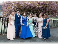 27-04-2017  E2A5790 : proms moelwyn 2017