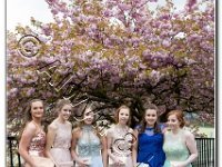 27-04-2017  E2A5795 : proms moelwyn 2017