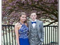 27-04-2017  E2A5797 : proms moelwyn 2017