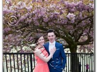 27-04-2017  E2A5802 : proms moelwyn 2017