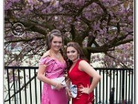 27-04-2017  E2A5803 : proms moelwyn 2017